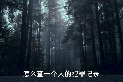 個人犯罪記錄查詢，查個人犯罪記錄在哪里查