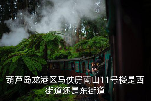 葫蘆島龍港區馬仗房南山11號樓是西街道還是東街道