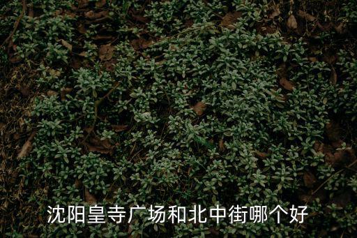 沈陽皇寺廣場和北中街哪個好