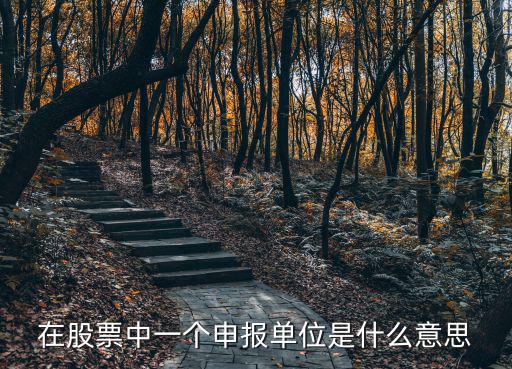 申報單位，申報單位區類型是什么