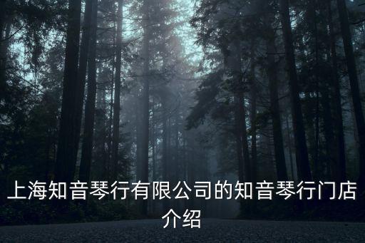 上海知音琴行有限公司的知音琴行門店介紹