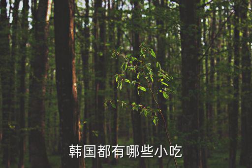 韓國都有哪些小吃