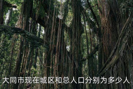 大同市現在城區和總人口分別為多少人
