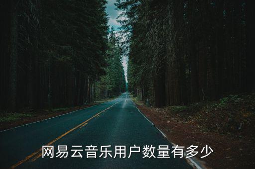 網(wǎng)易云音樂(lè)用戶(hù)數(shù)量有多少
