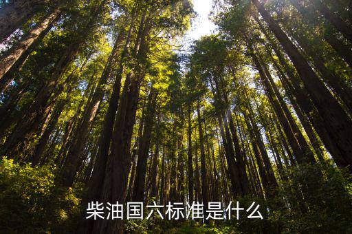 柴油國六標(biāo)準(zhǔn)是什么