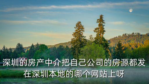 深圳的房產(chǎn)中介把自己公司的房源都發(fā)在深圳本地的哪個網(wǎng)站上呀