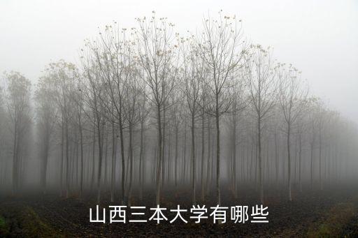 山西三本大學(xué)有哪些