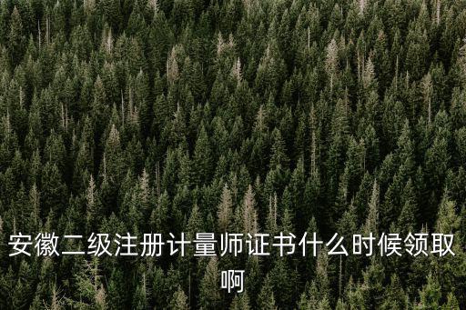 安徽二級注冊計量師證書什么時候領取啊