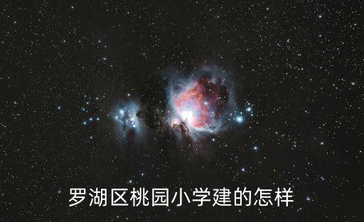 羅湖區桃園小學建的怎樣