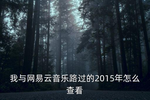 我與網(wǎng)易云音樂(lè)路過(guò)的2015年怎么查看