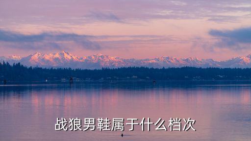 戰(zhàn)狼世家，戰(zhàn)狼世家是什么