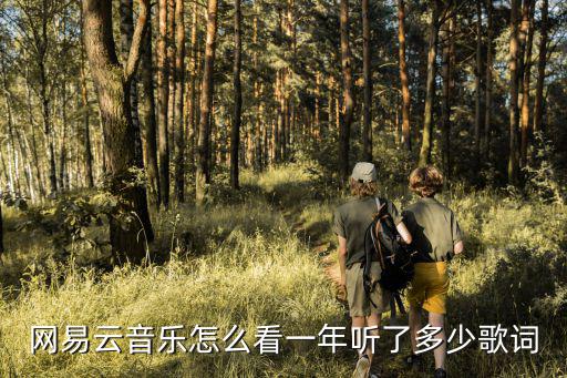 網(wǎng)易云音樂(lè)怎么看一年聽(tīng)了多少歌詞