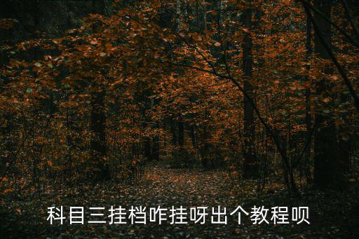 科目三掛檔咋掛呀出個教程唄