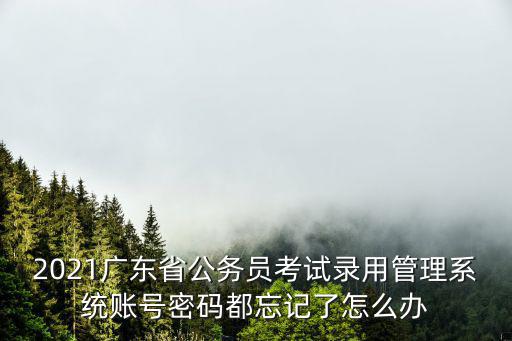 廣東省公務員考試錄用管理系統，廣東省公務員考試錄用管理系統怎么填