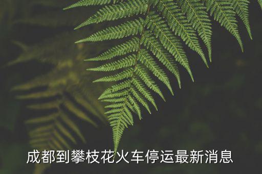 成都到攀枝花火車停運最新消息