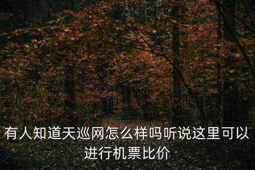 天巡網官網，天巡網好嗎有了解的嗎