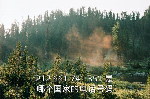 212 661 741 351 是哪個國家的電話號碼
