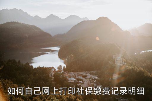 如何自己網(wǎng)上打印社保繳費(fèi)記錄明細(xì)