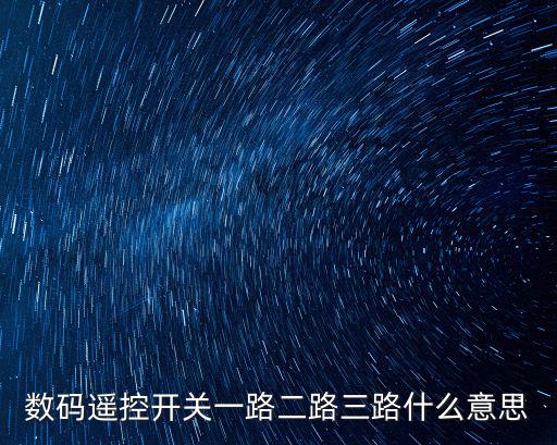 數碼遙控開關一路二路三路什么意思