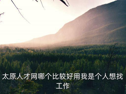 太原人才網哪個比較好用我是個人想找工作