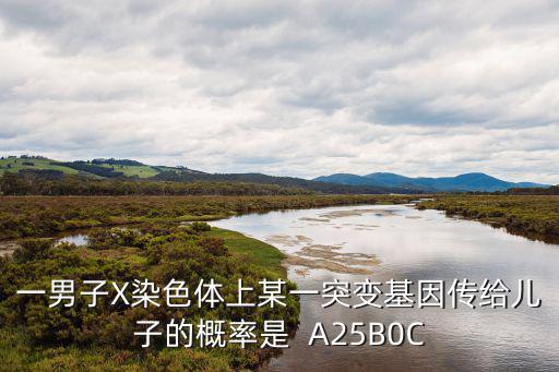 人的性別遺傳，人的性別是由性染色體決定的 nbsp