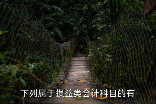 下列屬于，下列屬于損益類會計科目的有