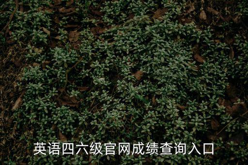 英語4級成績查詢入口，全國英語四六級成績查詢官網入口