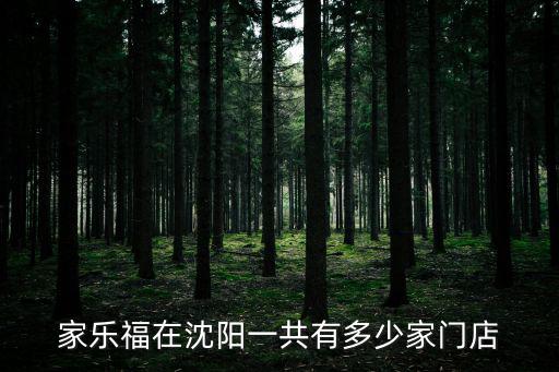 沈陽家樂福，沈陽的家樂福都有哪幾家分店分別在什么位置具體些啊