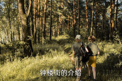 鐘樓街的介紹