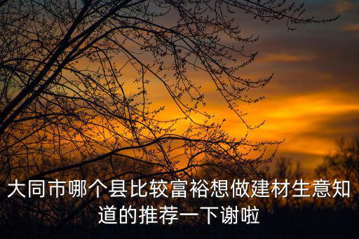 大同縣吧，耿彥波會發展大同縣嗎急