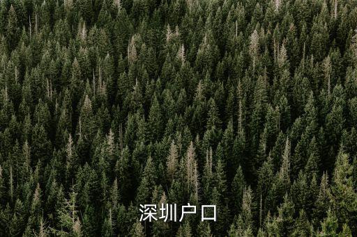 深圳戶口