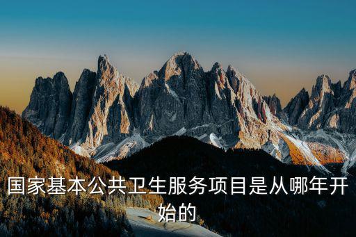 公共衛生服務項目，國家基本公共衛生服務項目是從哪年開始的