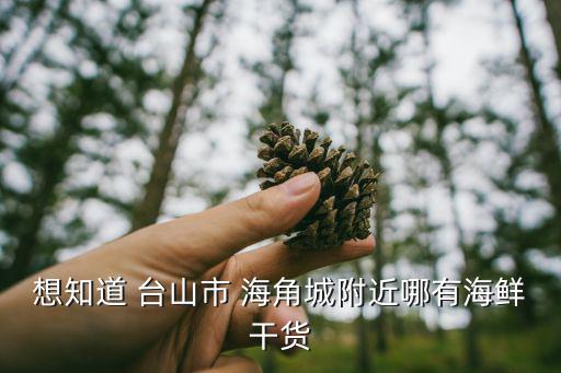 臺山海角城，江門自駕游去臺山海角城