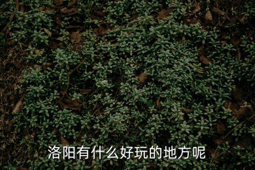 洛陽哪里好玩，洛陽有什么好玩的地方呢