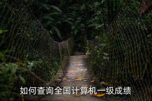 計算機一級查詢，可以通過身份證號碼查計算機1級考試成績