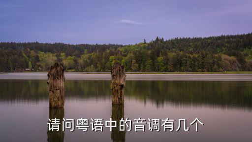 粵語有幾個聲調，請問粵語中的音調有幾個