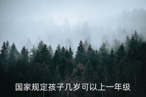 國家規定孩子幾歲可以上一年級