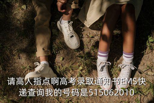 請高人指點啊高考錄取通知書EMS快遞查詢我的號碼是515062010