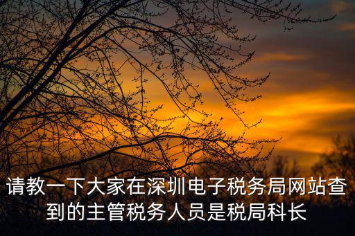 深圳電子稅務局，請教一下大家在深圳電子稅務局網站查到的主管稅務人員是稅局科長