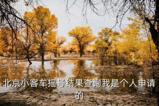 北京小客車搖號結果查詢我是個人申請的