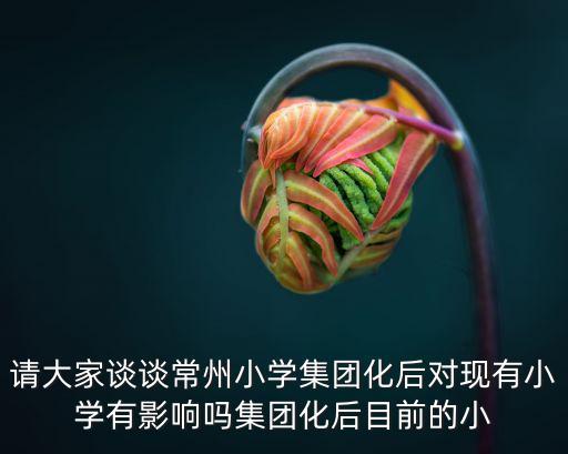 集團化辦學，學區化集團化辦學對教師有什么影響