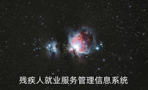 殘疾人就業服務管理信息系統