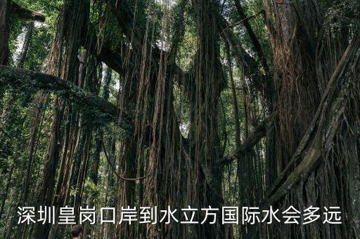 深圳皇崗口岸到水立方國際水會多遠