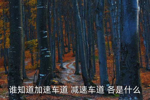 誰知道加速車道 減速車道 各是什么