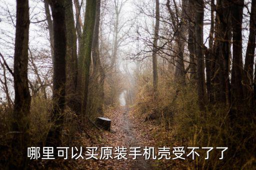 哪里可以買原裝手機殼受不了了