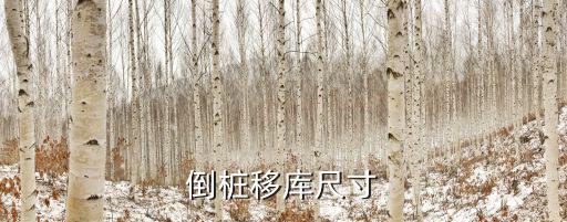 倒樁移庫(kù)尺寸