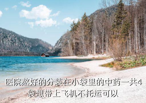 醫院熬好的分裝在小袋里的中藥一共4袋想帶上飛機不托運可以