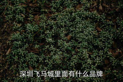 深圳飛馬城里面有什么品牌