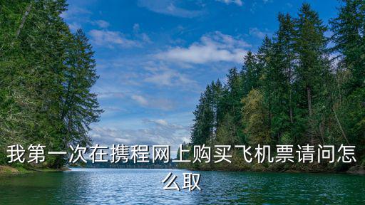 我第一次在攜程網上購買飛機票請問怎么取