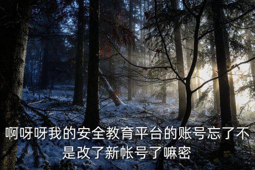 啊呀呀我的安全教育平臺(tái)的賬號(hào)忘了不是改了新帳號(hào)了嘛密